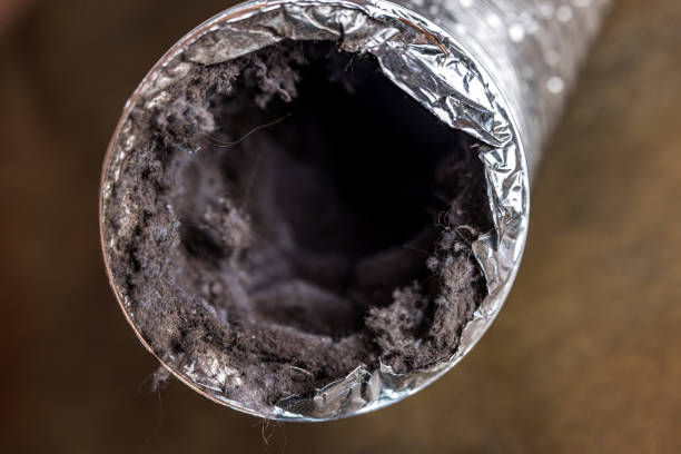 Best Dryer Vent Cleaning Services  in Riverview, FL